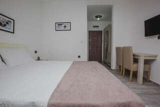 Отель Hotel Dapčević Цетине Двухместный номер с 1 кроватью или 2 отдельными кроватями и собственной ванной комнатой-13